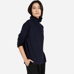 Everlane Turtleneck Sweater